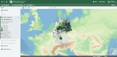 Testen Sie das neue WILD-Portal (Quelle: DJV)