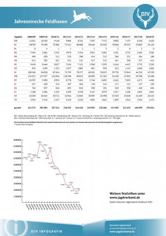 Feldhase: Jagdstatistik 2008-2019