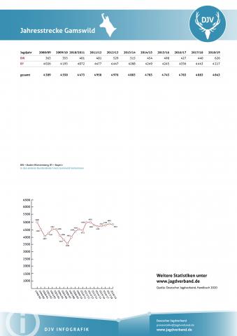 Gamswild: Jagdstatistik 2008-2019