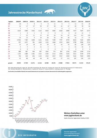 Marderhund: Jagdstatistik 2008-2019