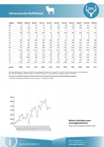 Muffelwild: Jagdstatistik 2008-2019