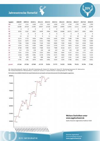 Rotwild: Jagdstatistik 2008-2019