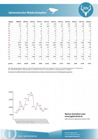Waldschnepfe: Jagdstatistik 2008-2019