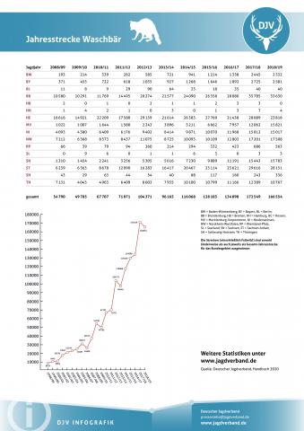Waschbär: Jagdstatistik 2008-2019