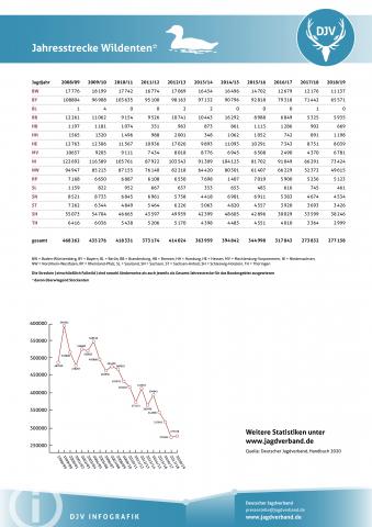 Wildente: Jagdstatistik 2008-2019
