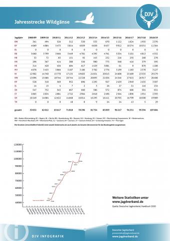 Wildgans: Jagdstatistik 2008-2019