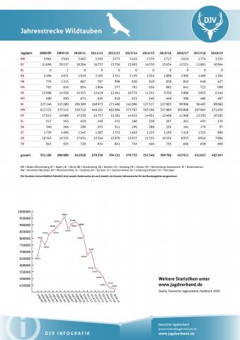 Wildtaube: Jagdstatistik 2008-2019