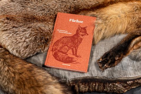 Buch: Füchse ein Portrait
