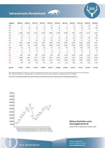 Marderhund: Jagdstatistik 2009-2020