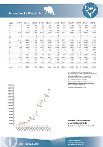 Waschbär: Jagdstatistik 2009-2020