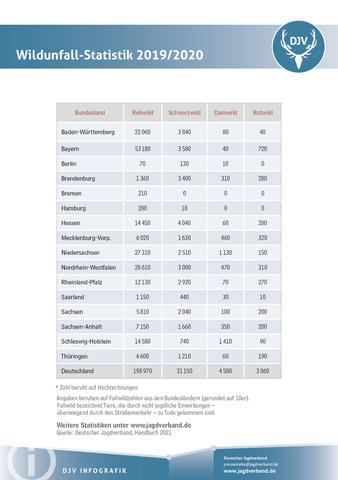 Wildunfall-Statistik 2019/2020