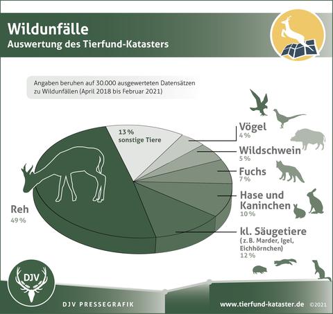 Wildunfälle - Auswertung des Tierfund-Katasters