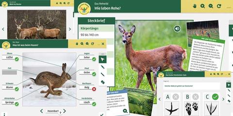 Vorschau: Digitale Tafelbilder