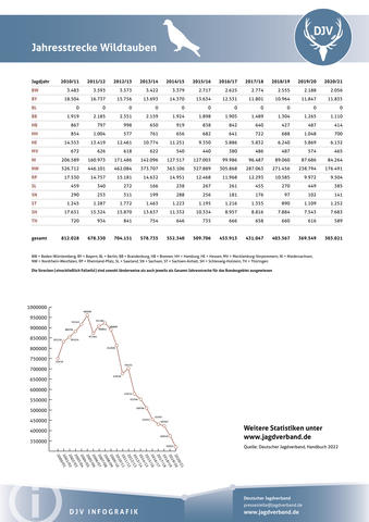 Wildtaube: Jagdstatistik 2020-2021