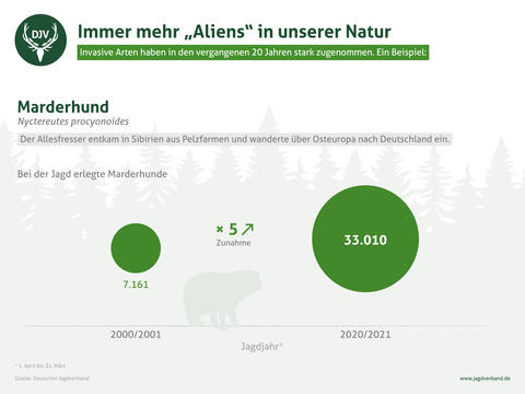 Marderhund: Steigerungsrate 2000/2001 - 2020/2021