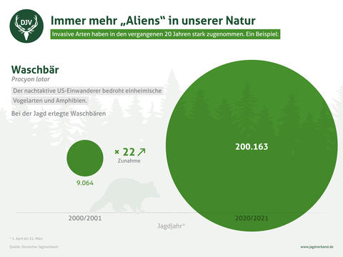 Waschbär: Steigerungsrate 2000/2001 - 2020/2021