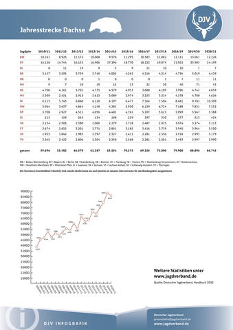 Dachs: Jagdstatistik 2020-2021