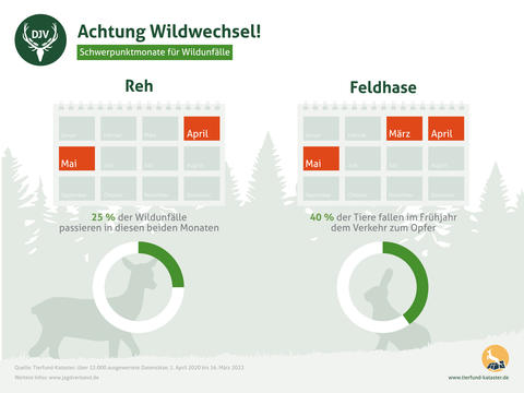 Wildunfälle - Schwerpunktmonate