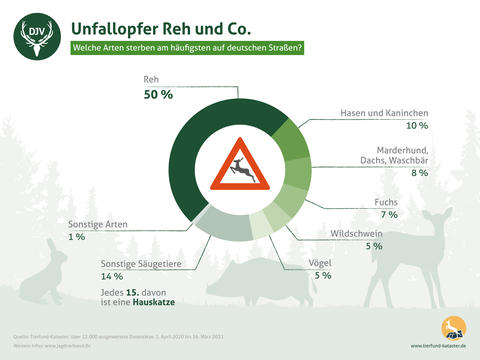 Wildunfälle - Zahlen Unfallopfer