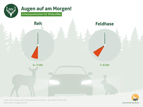 Schützen Warngeräte vor Wildunfällen?