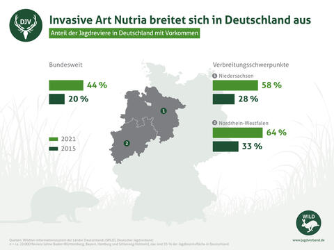 Anteil der Jagdreviere in Deutschland mit Nutria-Vorkommen