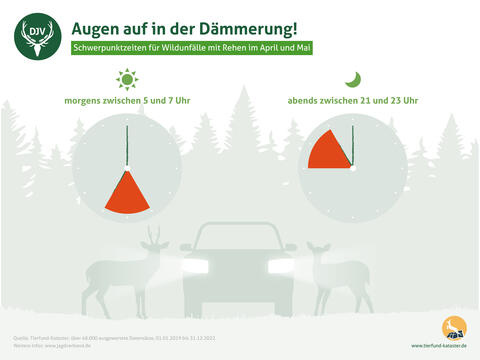 Wildunfälle - Schwerpunktzeiten