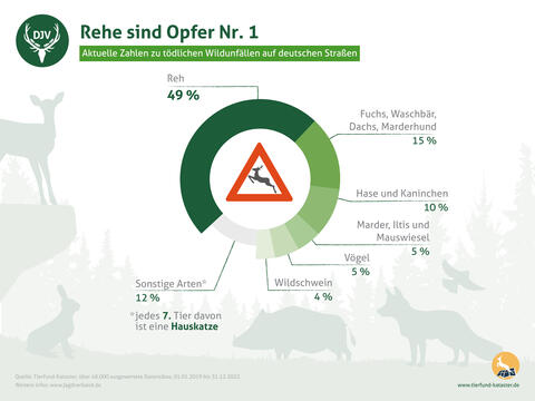 Wildunfälle - Zahlen Unfallopfer