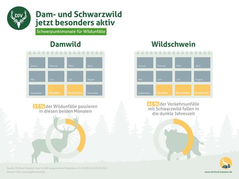 Schwerpunktmonate für Wildunfälle