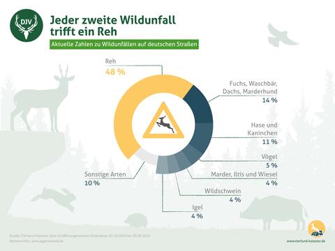 Von Wildunfällen betroffene Tierarten