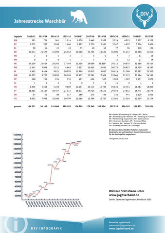 Waschbär: Jagdstatistik 2012-2023