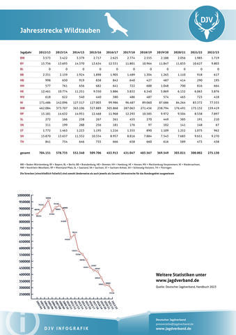 Wildtaube: Jagdstatistik 2012-2023