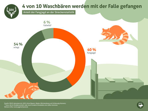Streckenstatistik Waschbär 2023