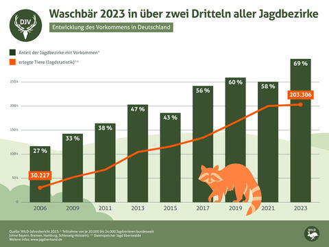 Entwicklung Waschbärvorkommen und Jagdstatistik 2006 - 2023