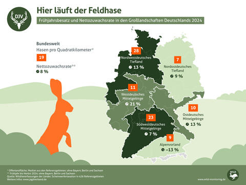 Feldhasenbesatz und Nettozuwachsrate Deutschland 2024