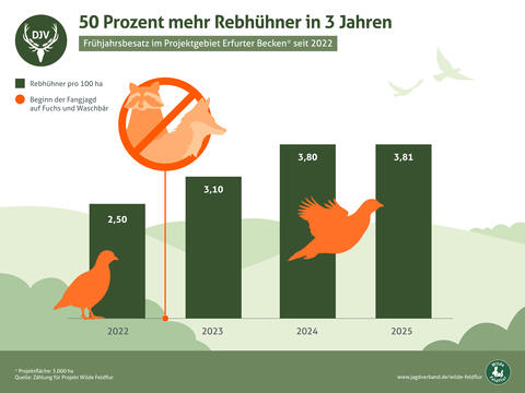 Wilde Feldflur: Rebhuhnbesatz im Projektgebiet Erfurter Becken 2022 - 2025