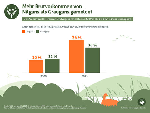 Brutvorkommen Nilgans und Graugans 2023