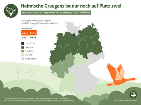 Verbreitung der Graugans 2023: nur noch auf Platz zwei