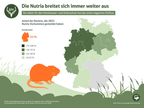 Nutria-Vorkommen in Deutschland 2023