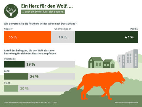 Umfrage-Ergebnis: Wie empfinden Deutsche die Rückkehr wilder Wölfe?