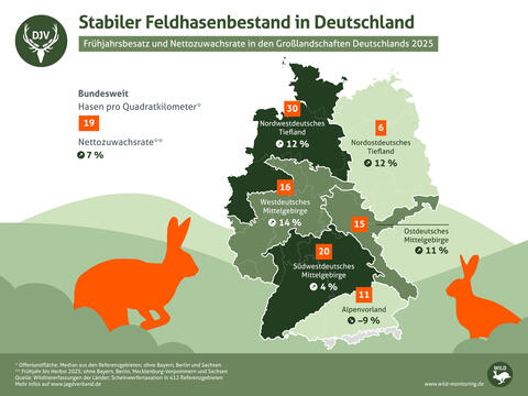 Stabiler Feldhasenbestand in Deutschland: Frühjahrsbesatz und Nettozuwachsrate in den Großlandschaften Deutschlands 2025