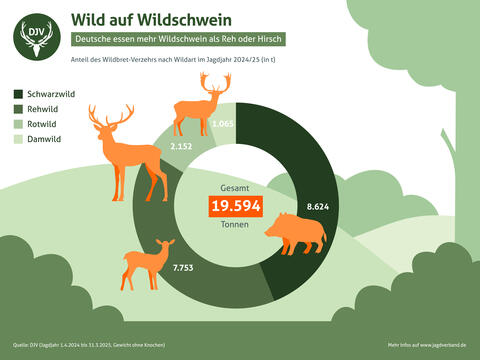 Wild auf Wildschwein: Verzehr von Wildbret in Deutschland 2024/25