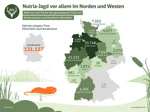 Anzahl erlegter Nutrias im Jagdjahr 2024/25 nach Bundesländern