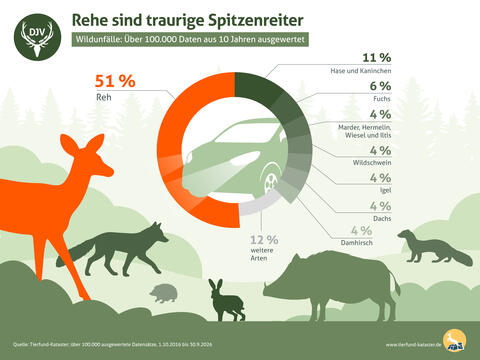 Pressegrafik Wildunfälle Gesamt mit dem Reh als Spitzenreiter