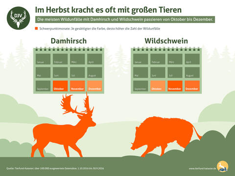Pressegrafik Wildunfälle Schwarzwild Damwild Monate