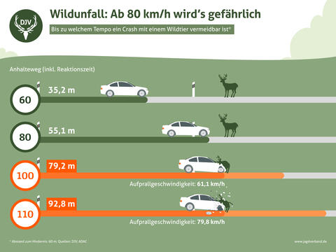 Pressegrafik Wildunfälle Bremsweg