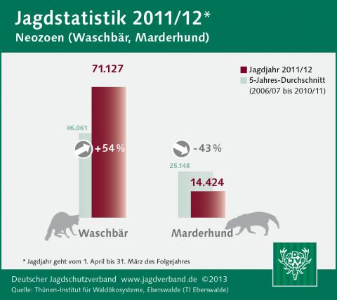 Waschbär/Marderhund: Jagdstatistik 2011/12