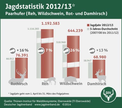 Jagdstatistik 2012/13 Paarhufer (Quelle: DJV)