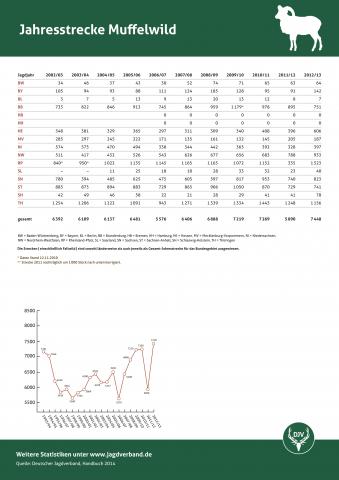 Muffelwild: Jagdstatistik 2012/13