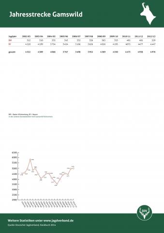 Gamswild: Jagdstatistik 2012/13