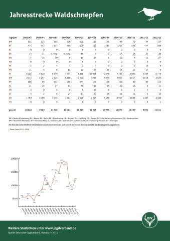 Waldschnepfe: Jagdstatistik 2012/13